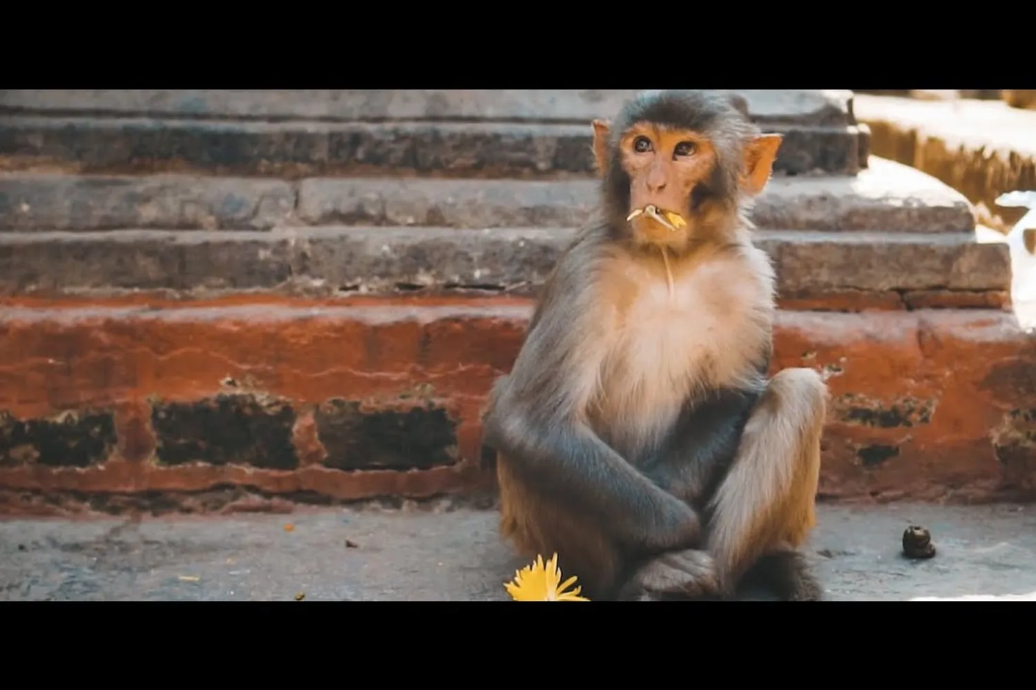 Still from a travel film in Kathmandu